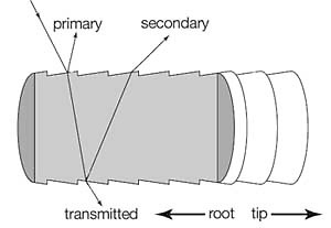 sites/default/files/scattering2.jpg