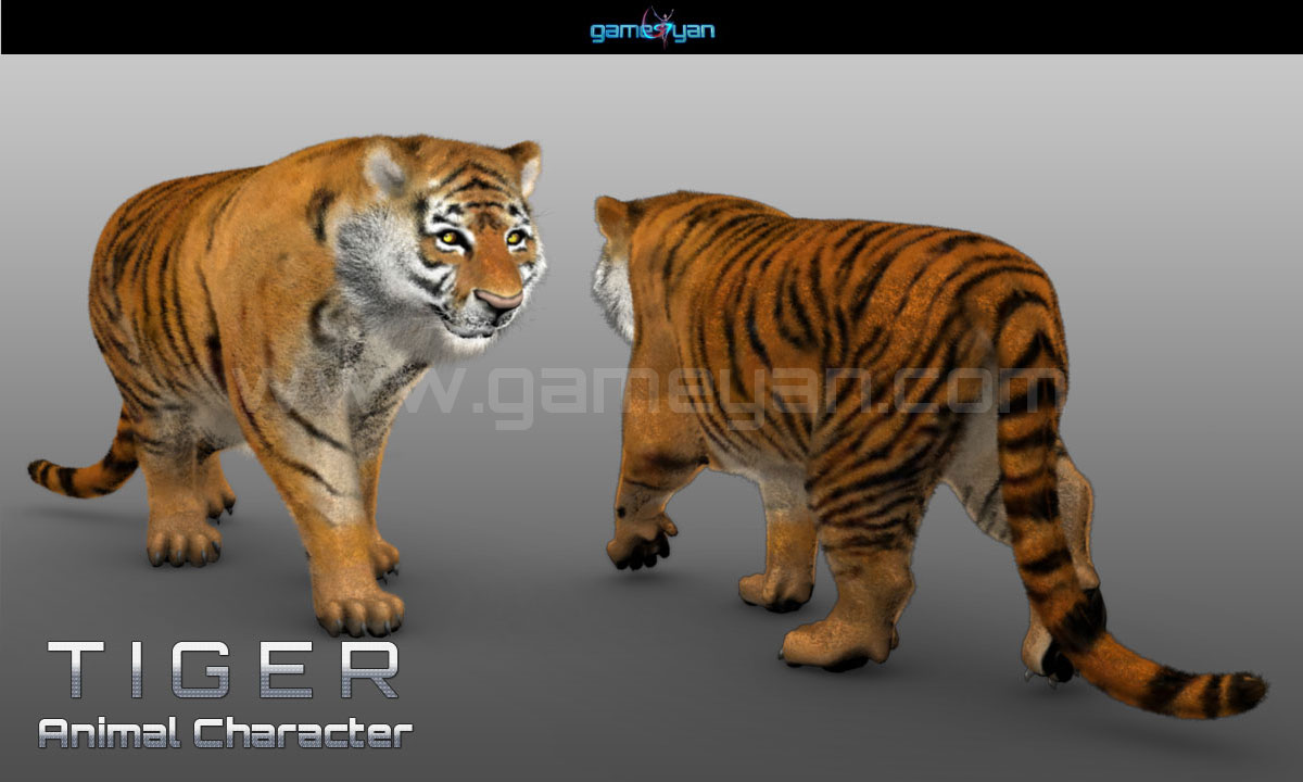 3danimation "3D Animal Characters Animation"