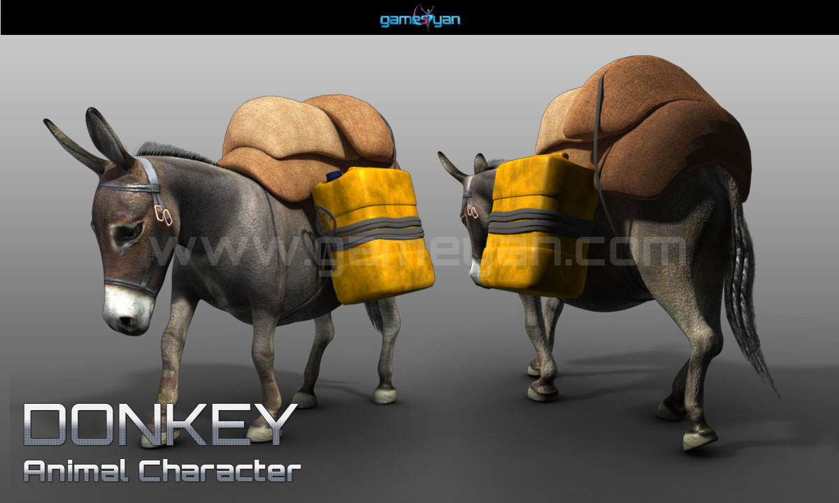 3danimation "3D Animal Characters Animation"