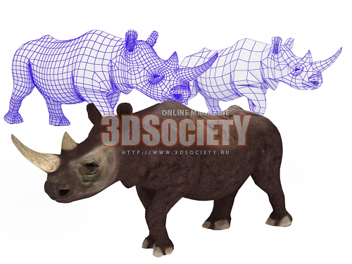 3D модель  3d модель носорога 
