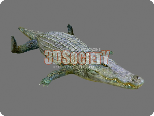 3D модель  крокодил 