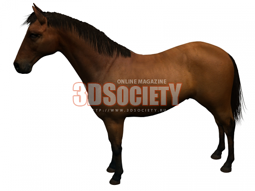 3D модель  Лошадь 