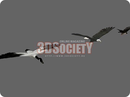 3D модель  орёл гусь сокол 