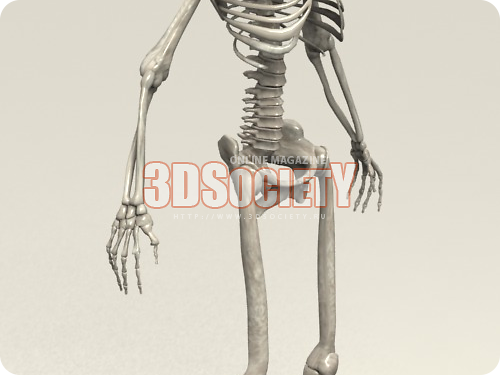 3D модель  Skeleton 