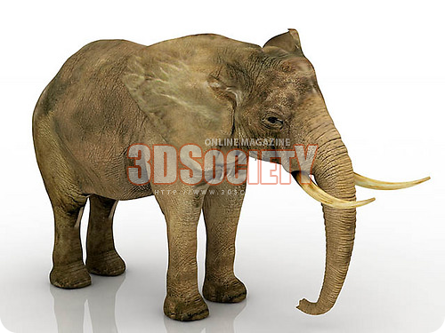 3D модель Слон африканский