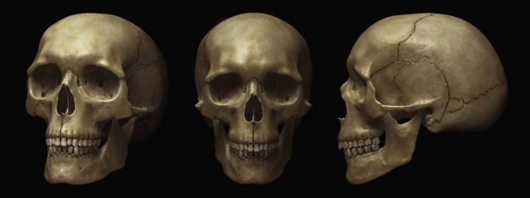 zilum "Skull"