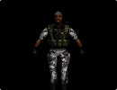 3D модель  Black HGRunt from Half-Life Opposing Force(CAT) 