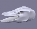 3D модель  голова щуки 