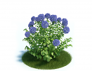 3D модель  hydrangea 