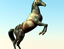 3D модель  Лошадь встала на дыбы 